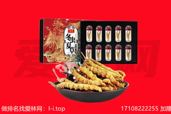 天津市和平回收虫草.jpg
